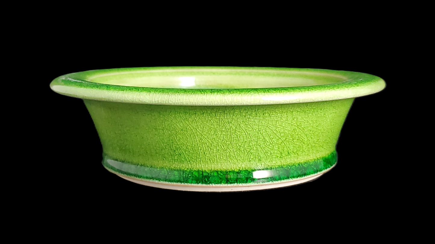Bonsai Pot Round 5-25-1593 6.5" X 1.75"