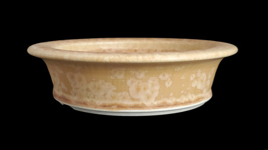 Bonsai Pot Round 5-25-1589 5.5" X 1.5"