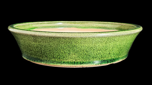 Bonsai Pot Round 5-25-1597 8.5" X 1.75"