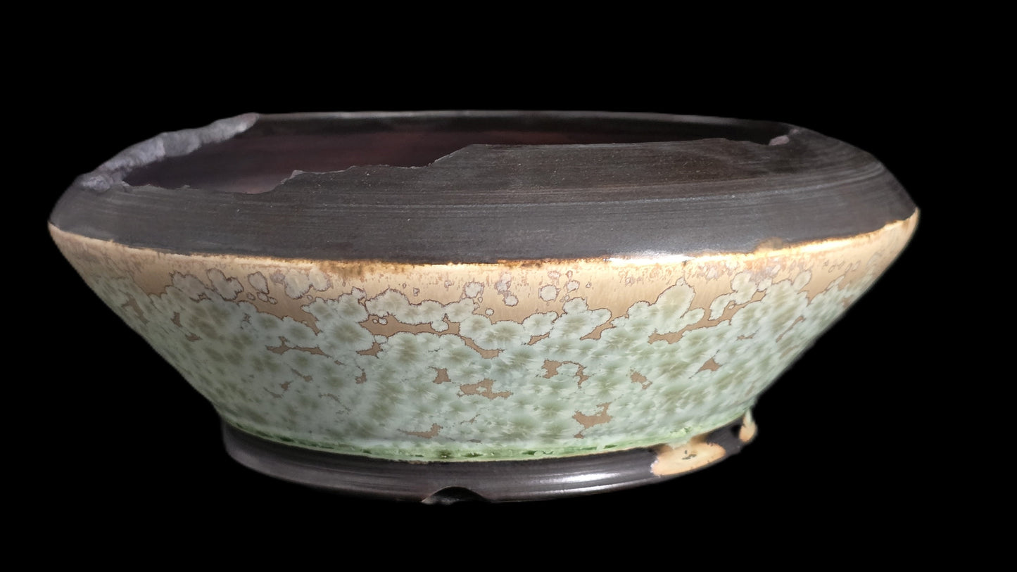 Bonsai Pot Round 8-25-1609 8.5" X 3"