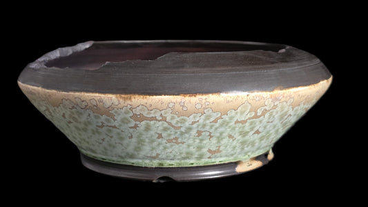 Bonsai Pot Round 8-25-1609 8.5" X 3"