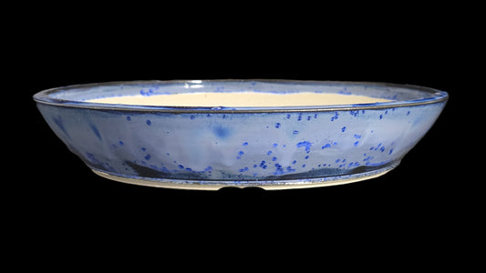 Bonsai Pot Round 8-25-1610 9.5" X 1.75"
