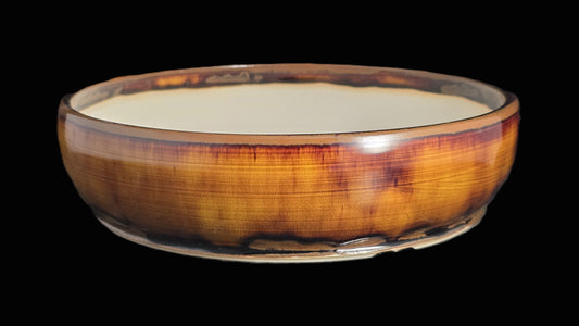 Bonsai Pot Round 8-25-1619 9.5" X 2.5"
