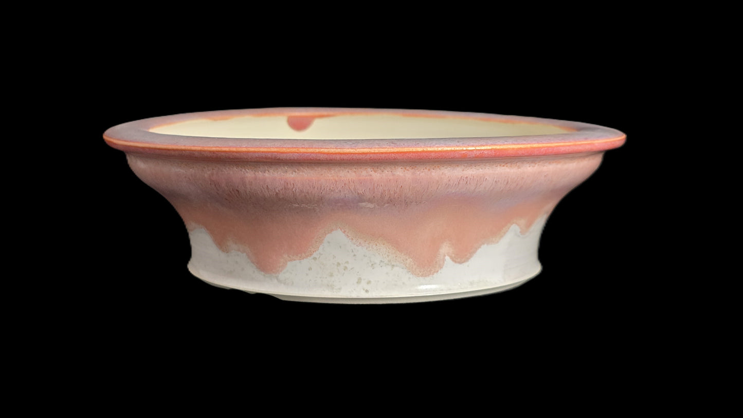 Bonsai Pot Round 8-25-1626 7.5" X 2.25"