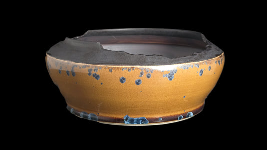 Bonsai Pot Round 8-25-1625 8" X 3.5"