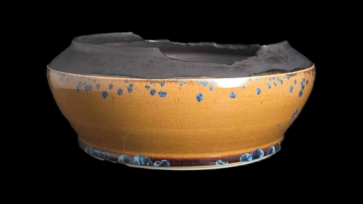 Bonsai Pot Round 8-25-1625 8" X 3.5"