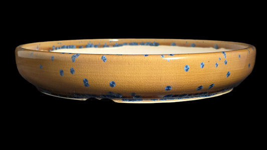 Bonsai Pot Round 8-25-1639 9.5" X 1.75" blue flower crystalline