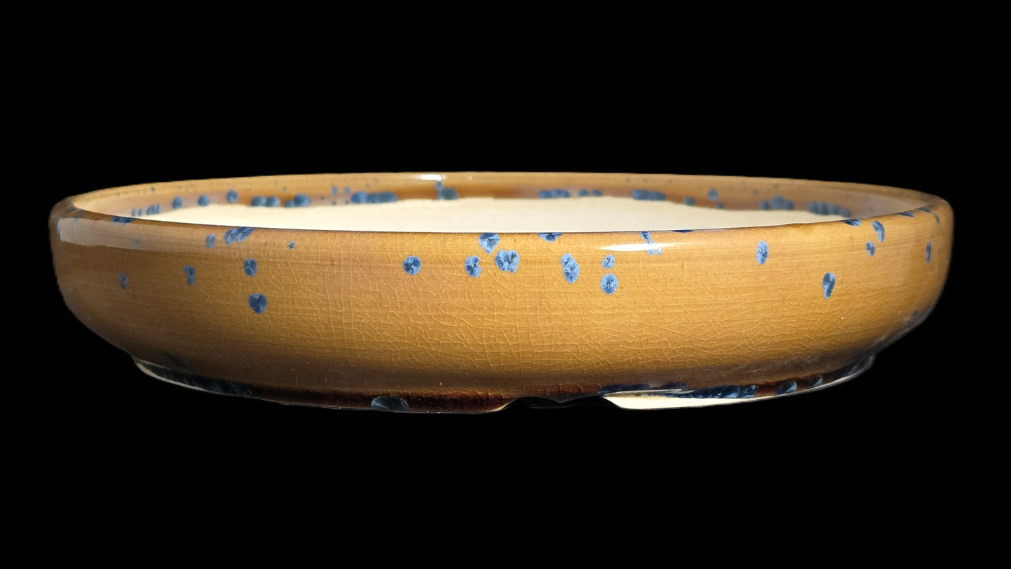 Bonsai Pot Round 8-25-1639 9.5" X 1.75" blue flower crystalline