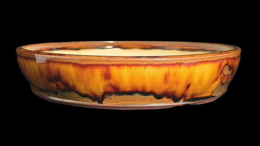Bonsai Pot Round 8-25-1645 10.75" X 2.25" lava run