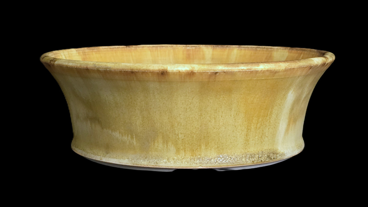 Bonsai Pot Round 8-25-1648 8" X 2.75" creamy matte flare