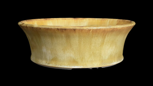 Bonsai Pot Round 8-25-1648 8" X 2.75" creamy matte flare