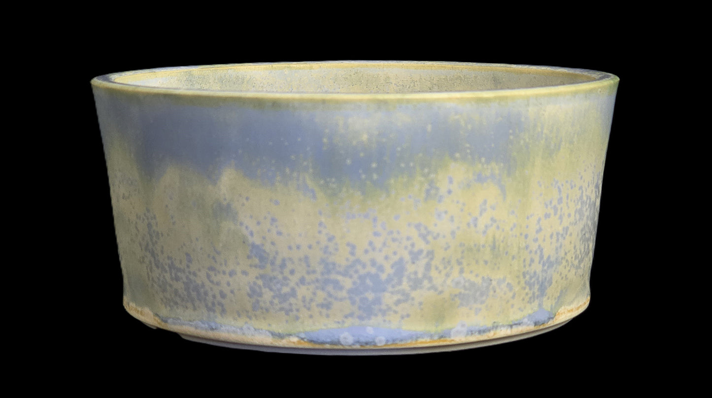 Bonsai Pot Round 10-25 - 6" X 2.75" (Copy)