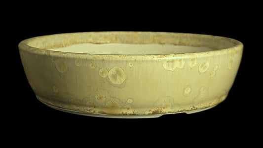 Bonsai Pot Round 10-25 - 8" X 2"