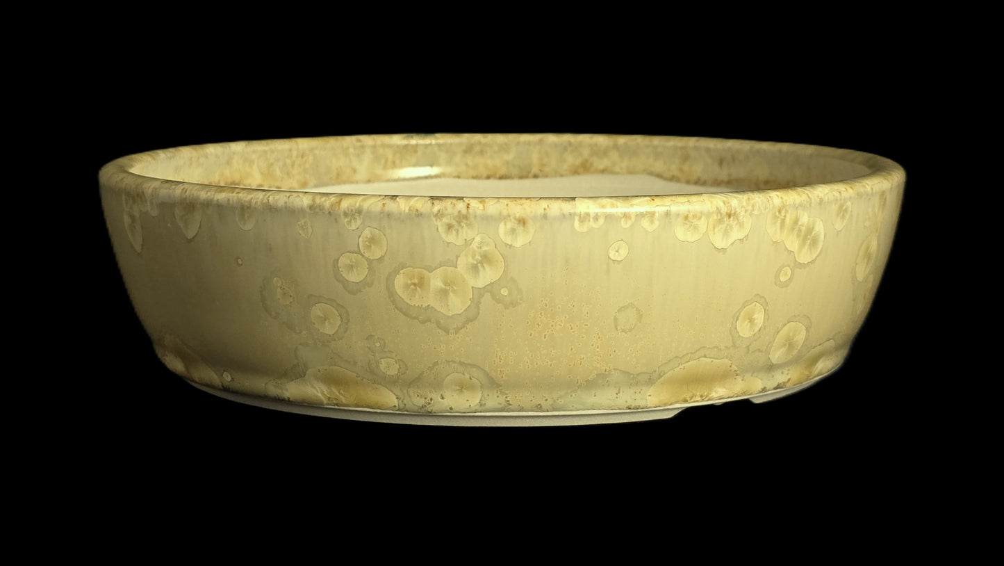 Bonsai Pot Round 10-25 - 8" X 2"