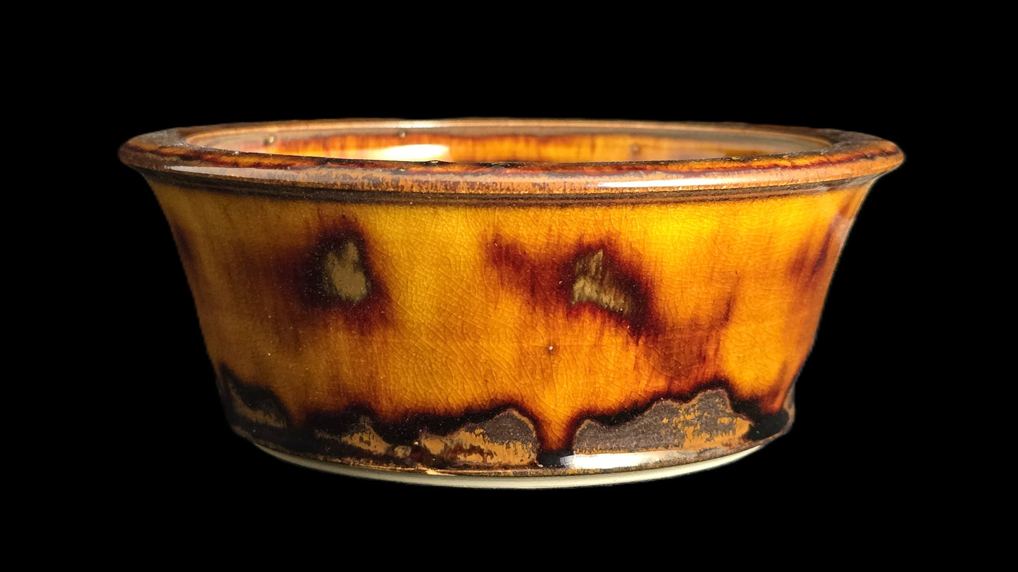 Bonsai Pot Round 10-25 - 6" X 2.25"