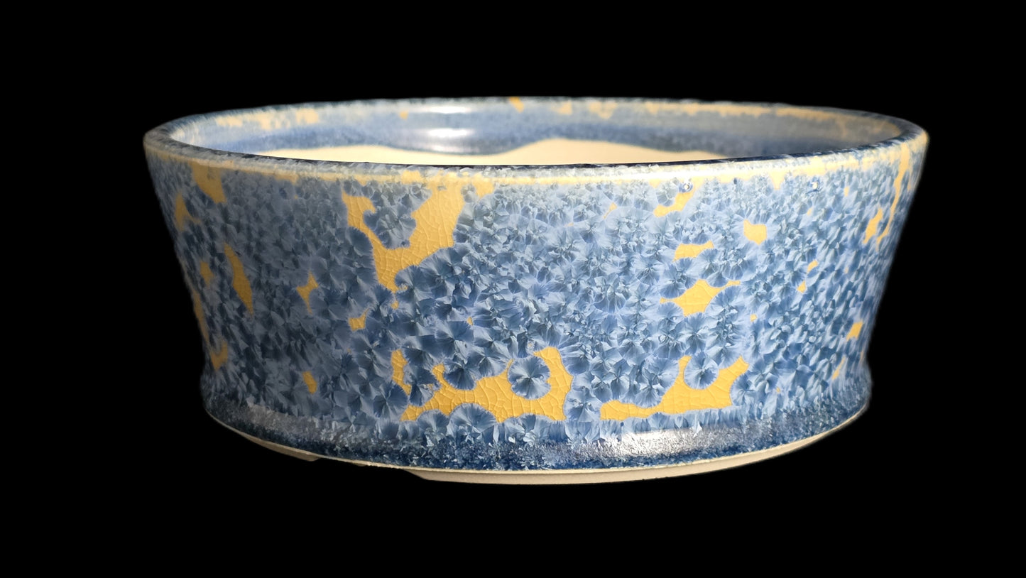 Bonsai Pot Round 10-25 - 6.5" X 2.5"