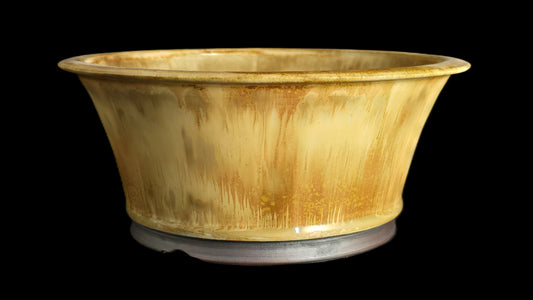 Bonsai Pot Round 8-25-1653 8.5" X 3.75" micro crystalline drip