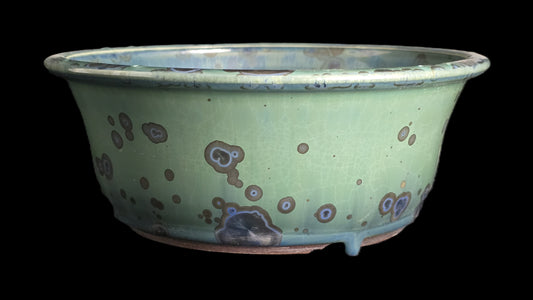 Bonsai Pot Round 10-25 - 7.5" X 3"