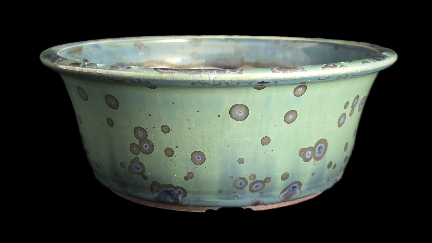 Bonsai Pot Round 10-25 - 7.5" X 3"