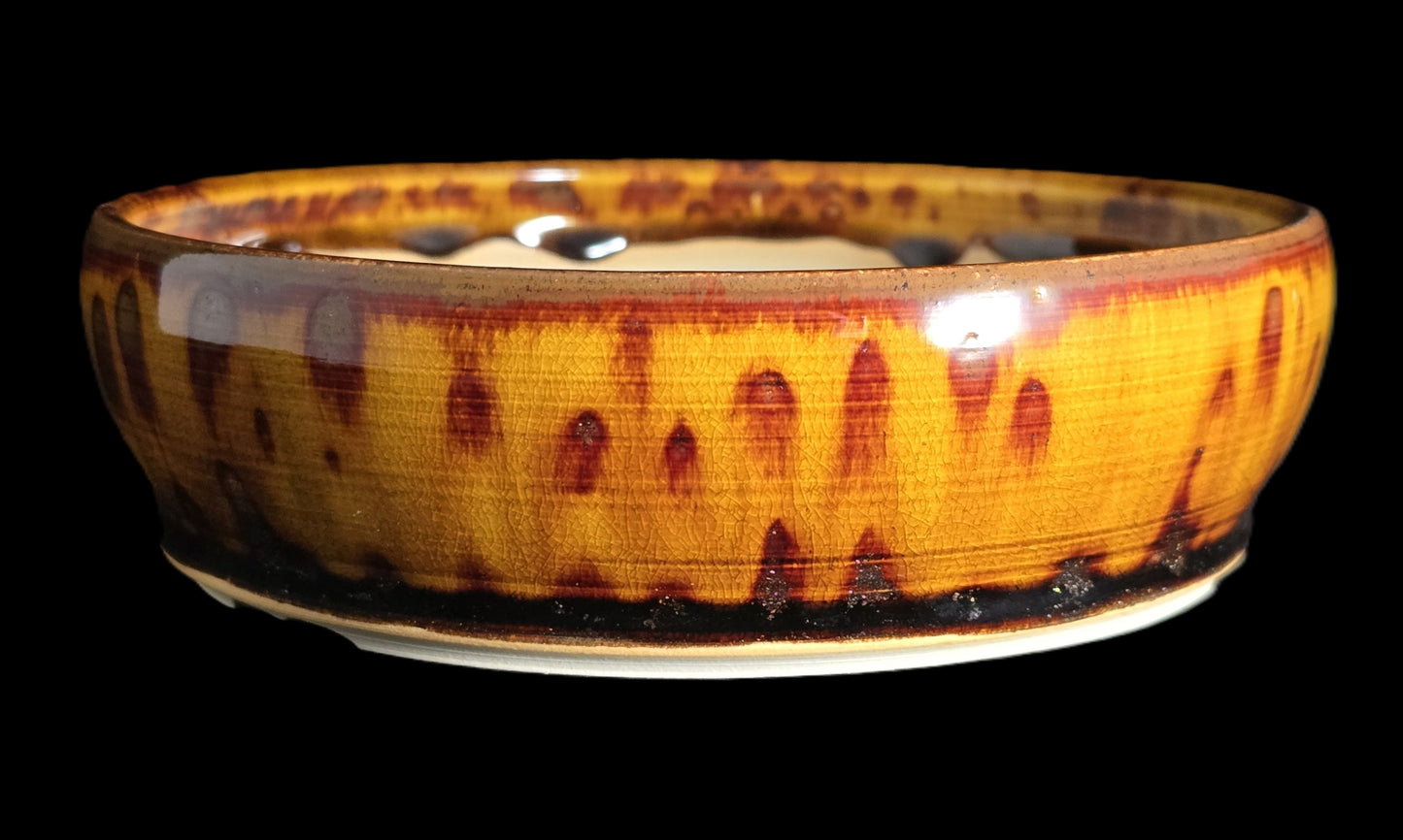 Bonsai Pot, Lava Glazed Round 12-25 - 6.75" X 2"