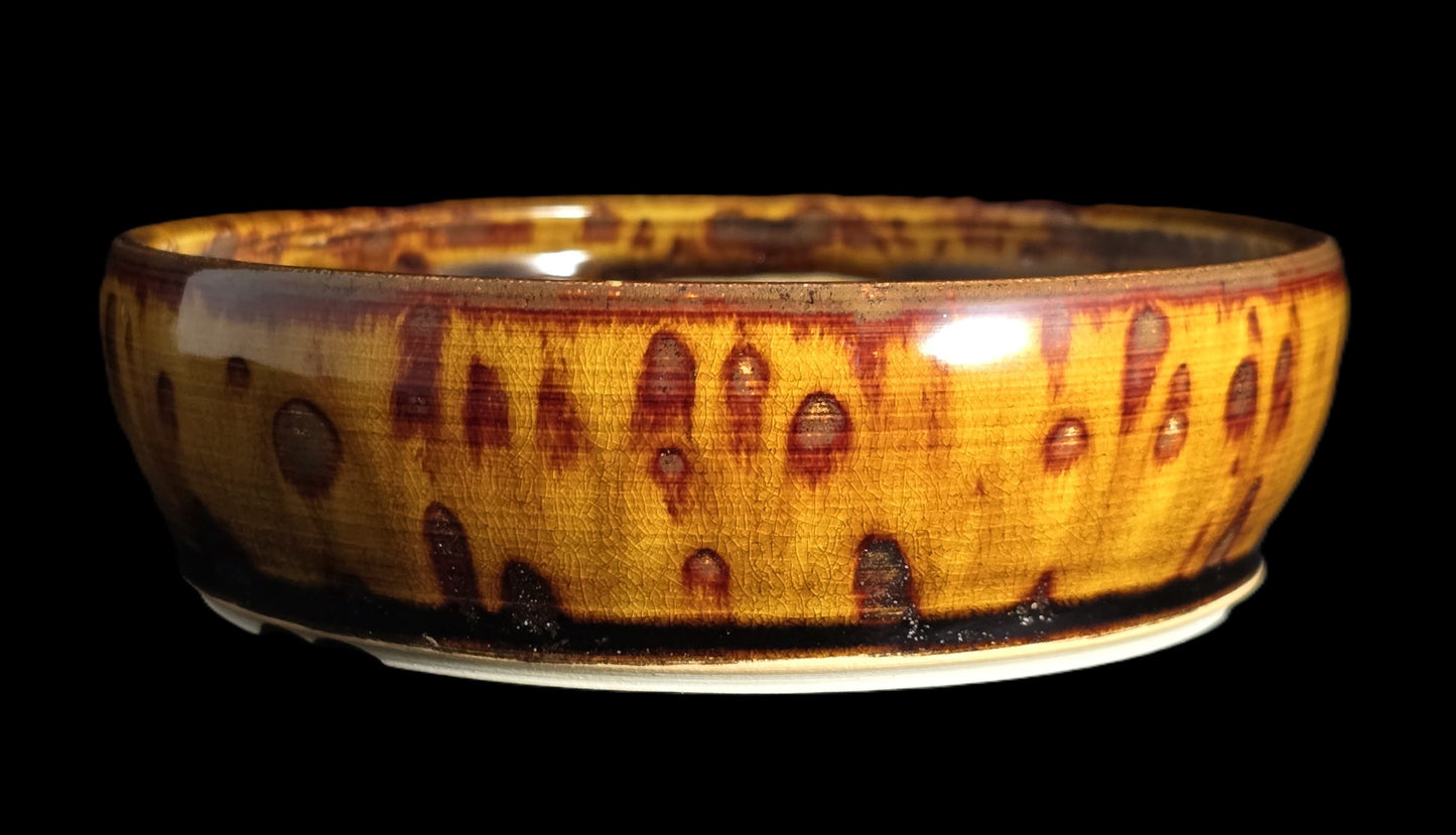 Bonsai Pot, Lava Glazed Round 12-25 - 6.75" X 2"