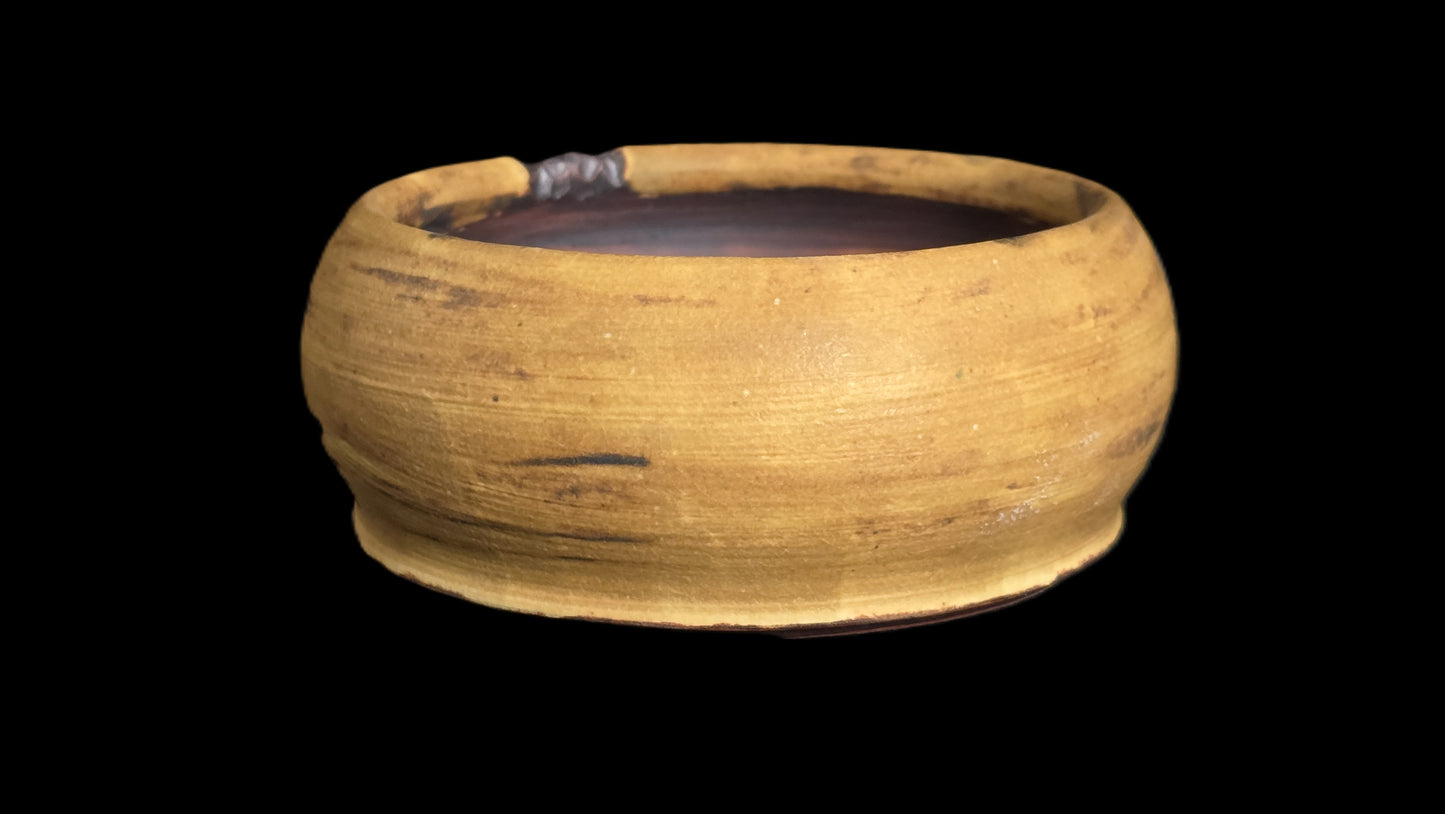 Bonsai Pot, Mustard Round 12-25 - 4.5" X 2"