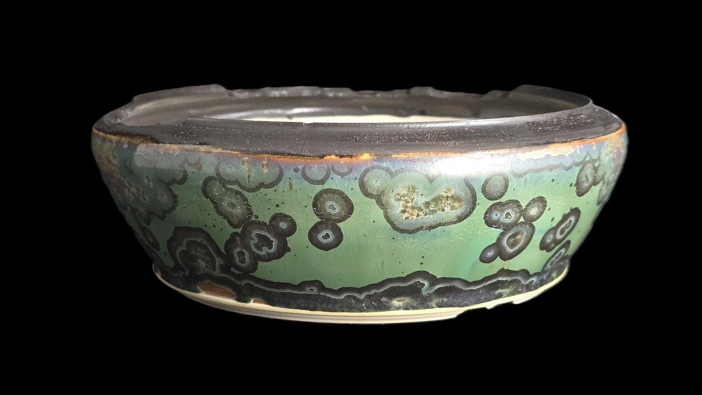 Bonsai Pot, Ripped Rim Round 1-26 - 8.25" X 3"