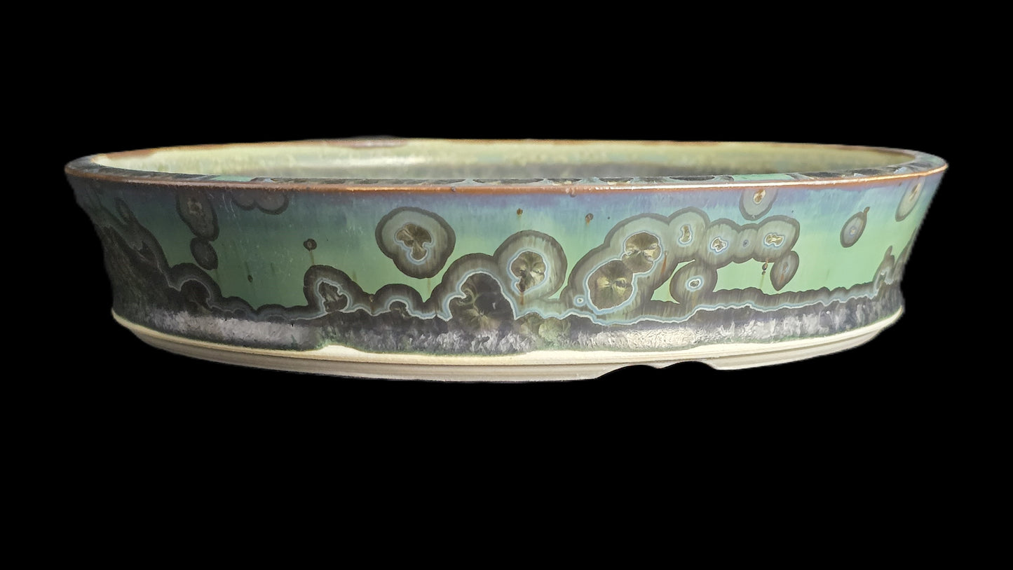 Bonsai Pot, Shallow Round 1-26 - 8" X 1.75"