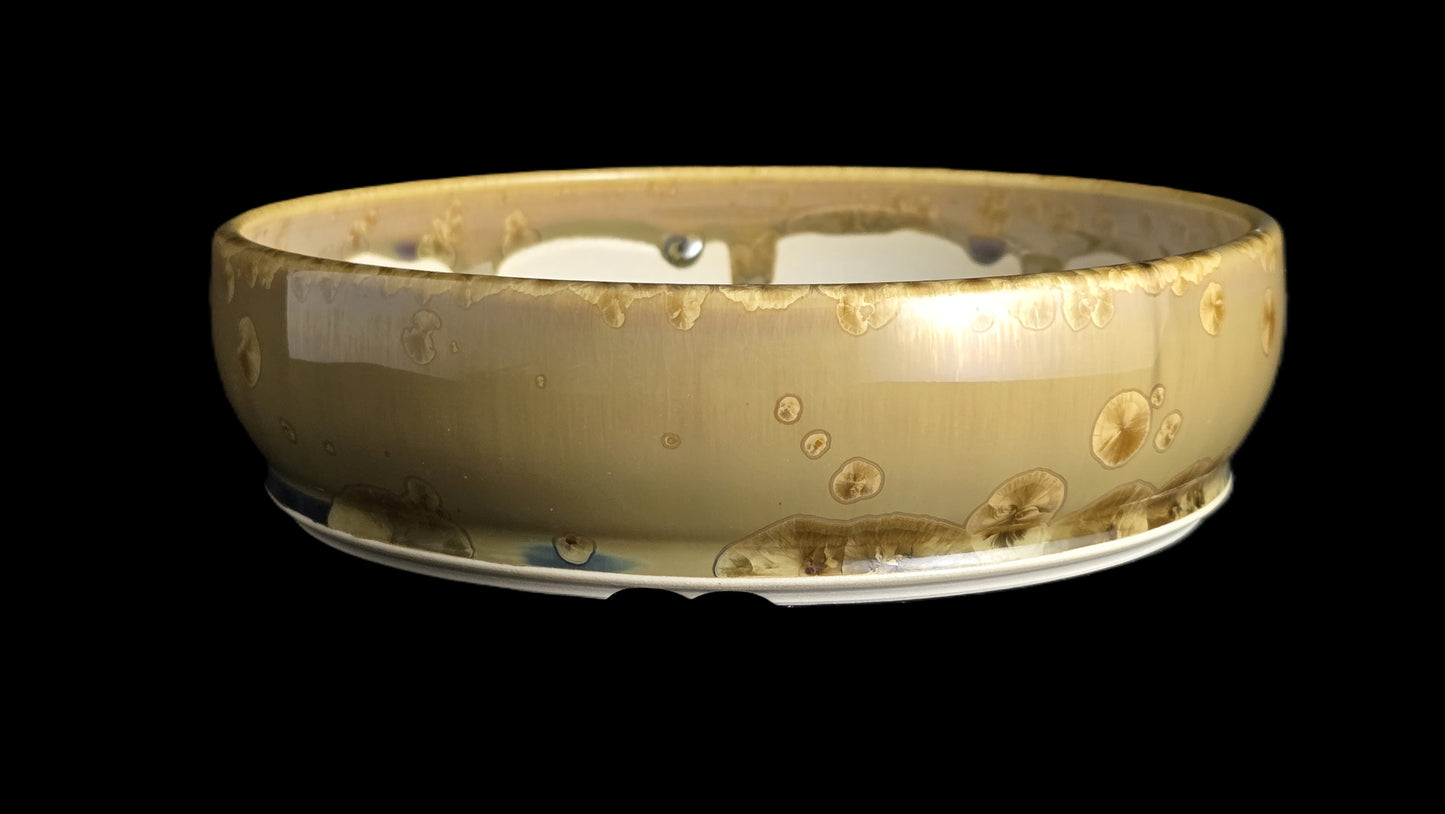 Bonsai Pot, Earthy Crystalline Round 1-26 - 8" X 2"