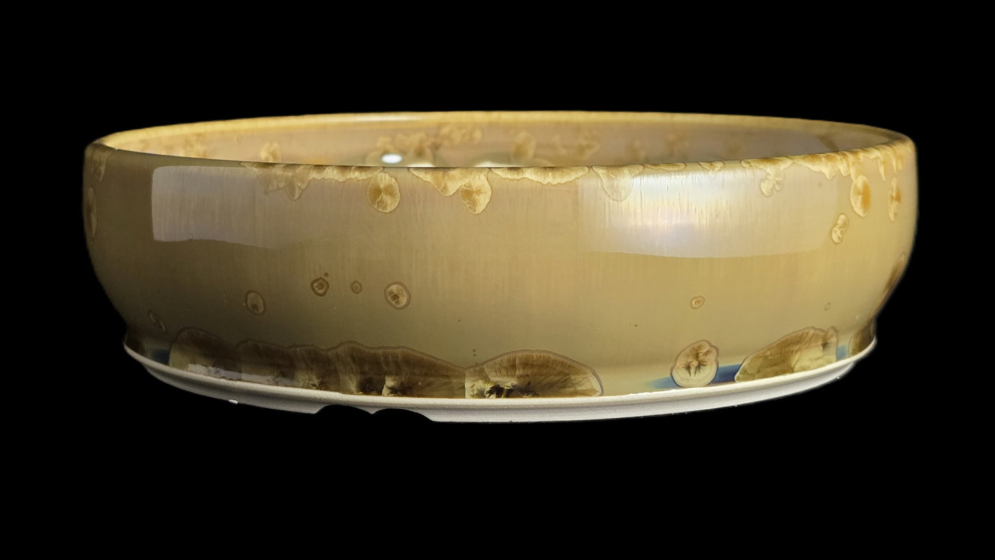 Bonsai Pot, Earthy Crystalline Round 1-26 - 8" X 2"