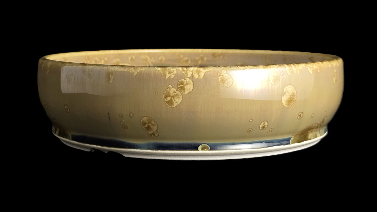 Bonsai Pot, Earthy Crystalline Round 1-26 - 8" X 2"