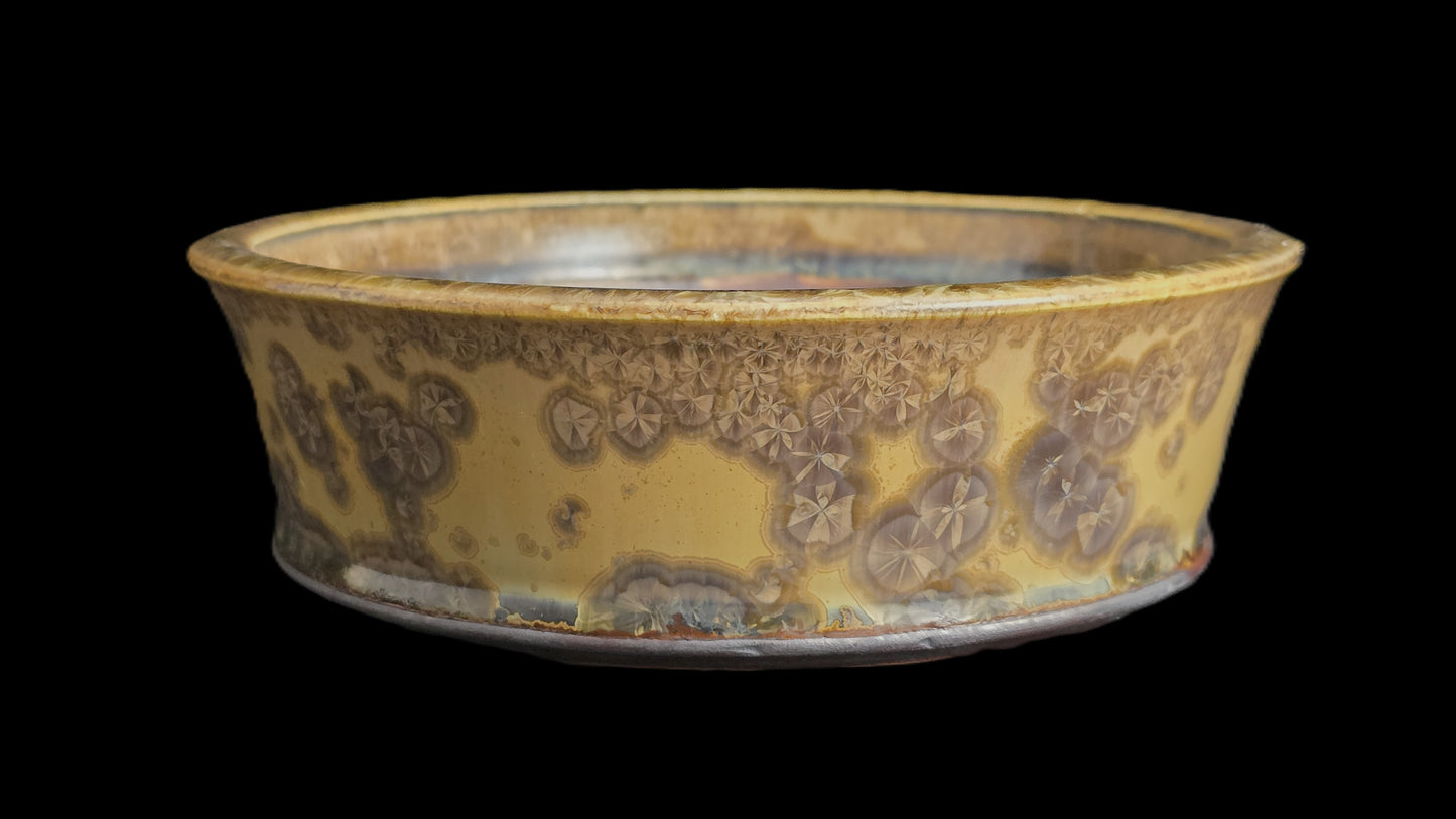 Bonsai Pot, Crystalline Round 1-26 - 7" X 2"