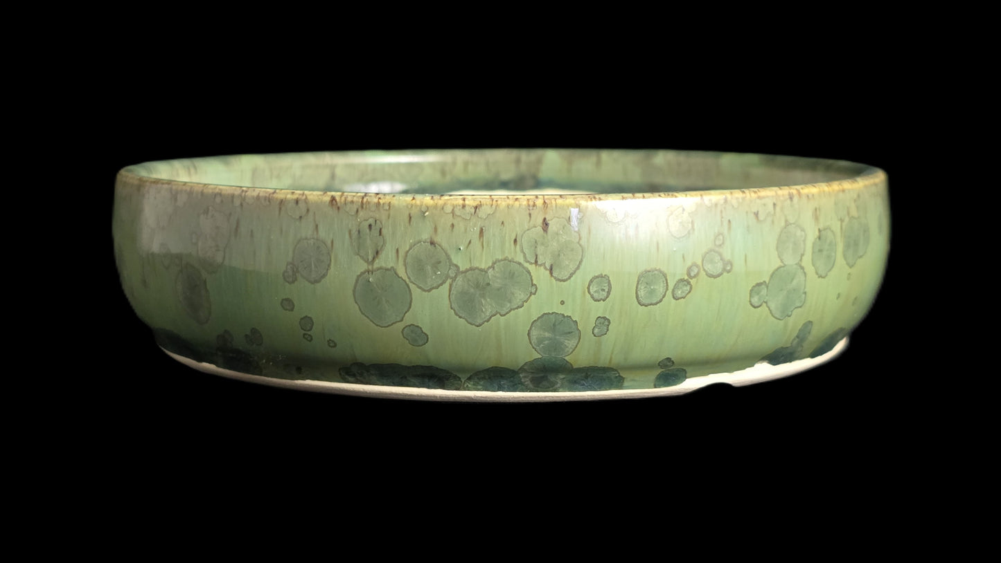 Bonsai Pot, Crystalline Round 2-26 - 7" X 1.75"