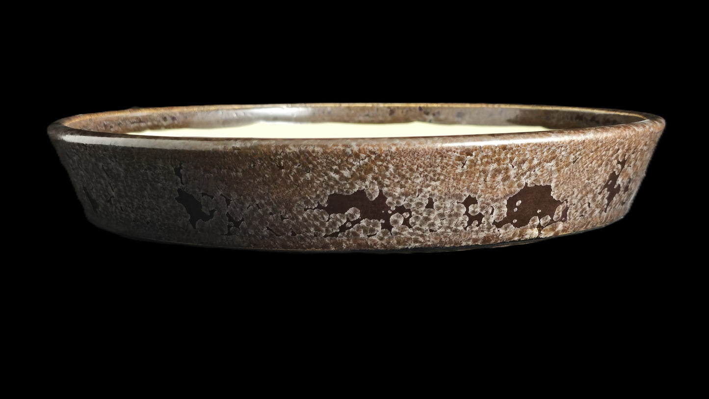 Bonsai Pot, Crystalline Round 2-26 - 11" X 1.75"