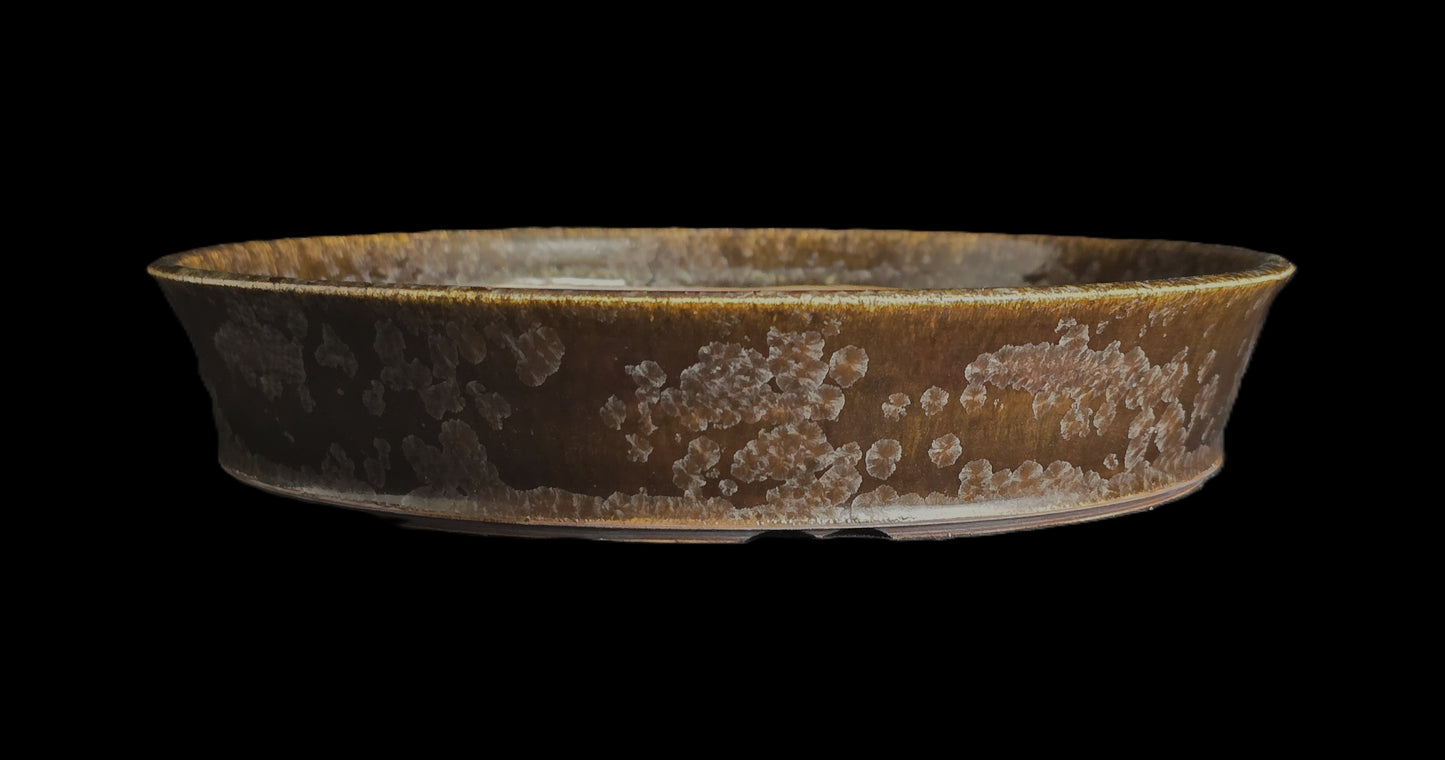 Bonsai Pot, Crystalline Round 2-26 - 9" X 1.75"