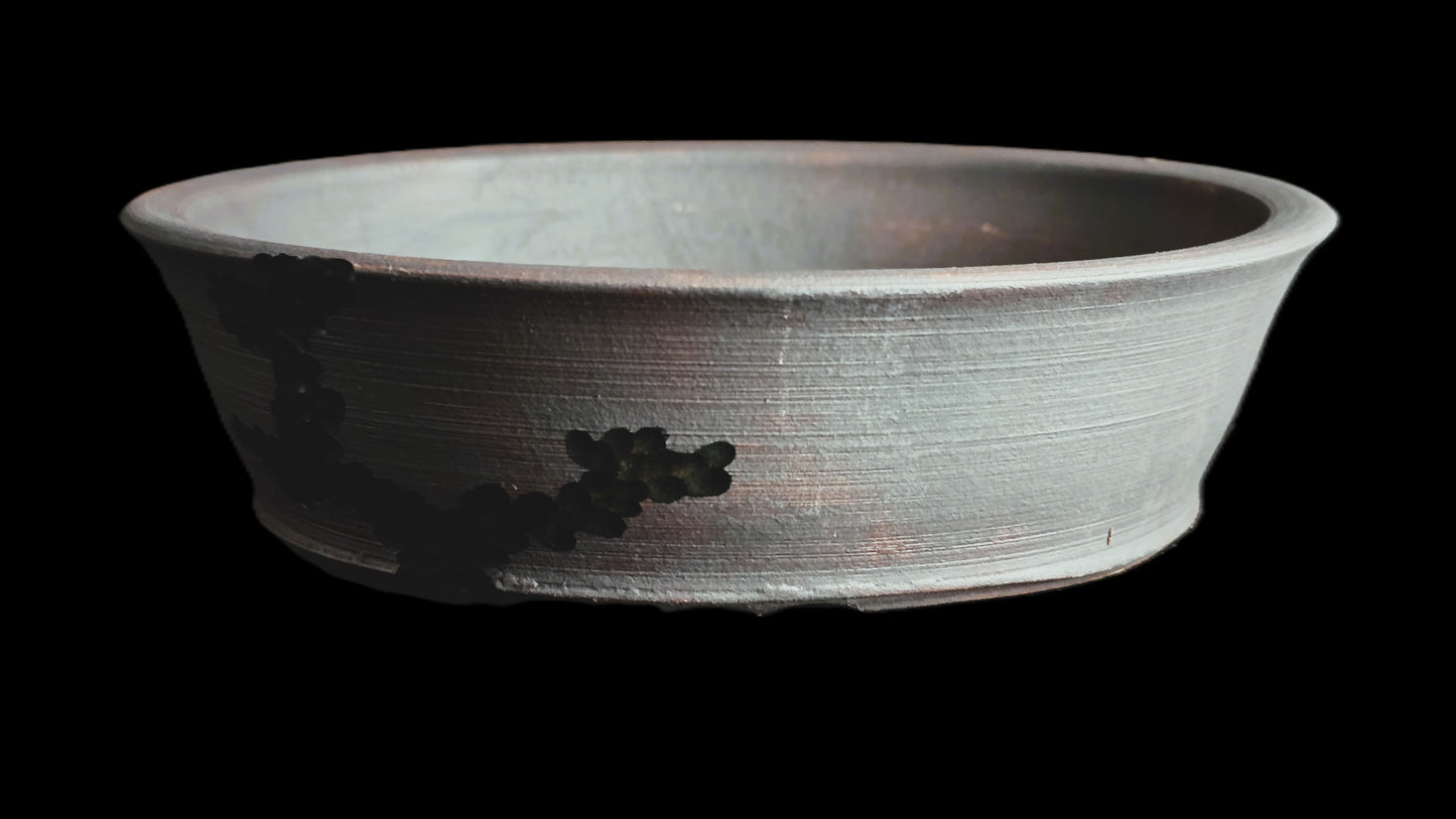 Bonsai Pot, Crystalline Round 2-26 - 5.75" X 1.5"