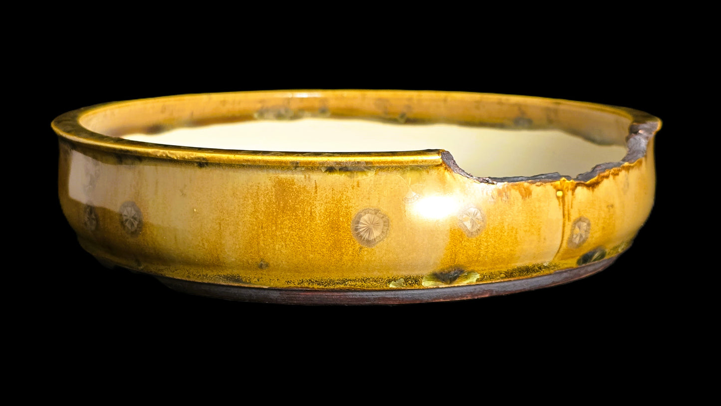 Bonsai Pot, Crystalline Round 4-26 - 8.5 X 2"