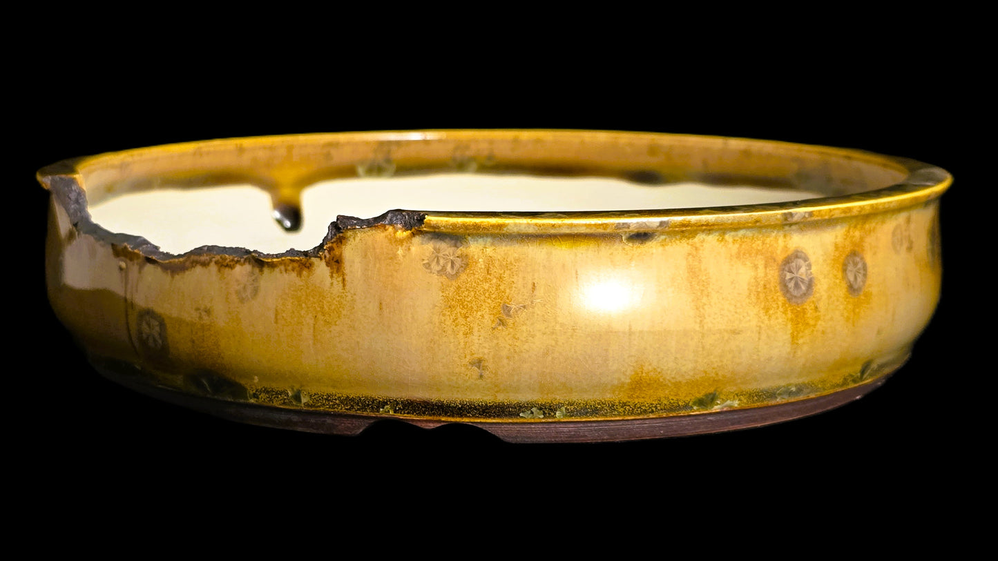 Bonsai Pot, Crystalline Round 4-26 - 8.5 X 2"