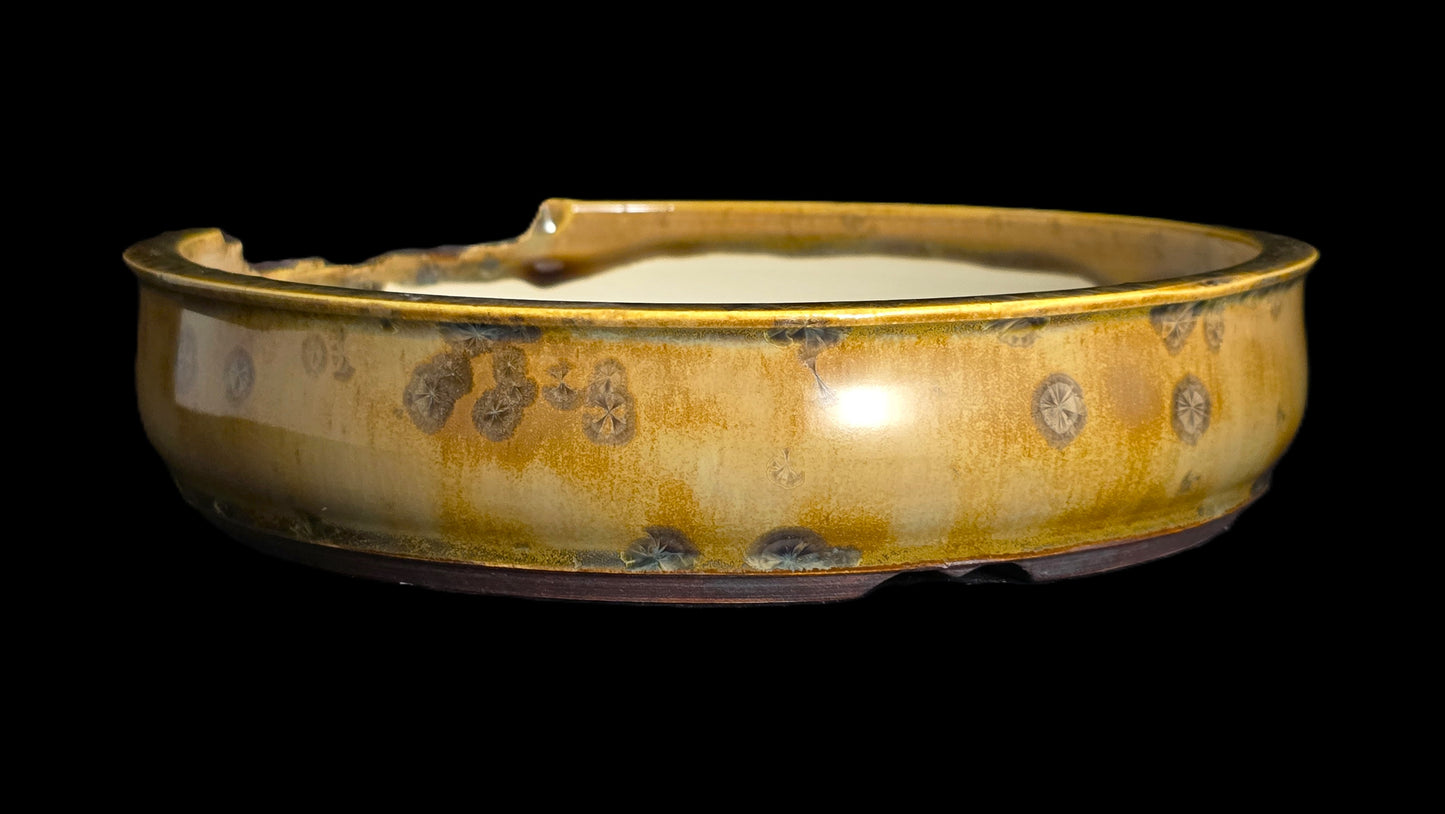 Bonsai Pot, Crystalline Round 4-26 - 8.5 X 2"