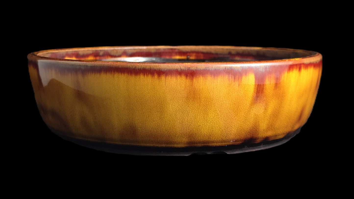 Bonsai Pot, Crystalline Round 4-26 - 10 X 2.75"