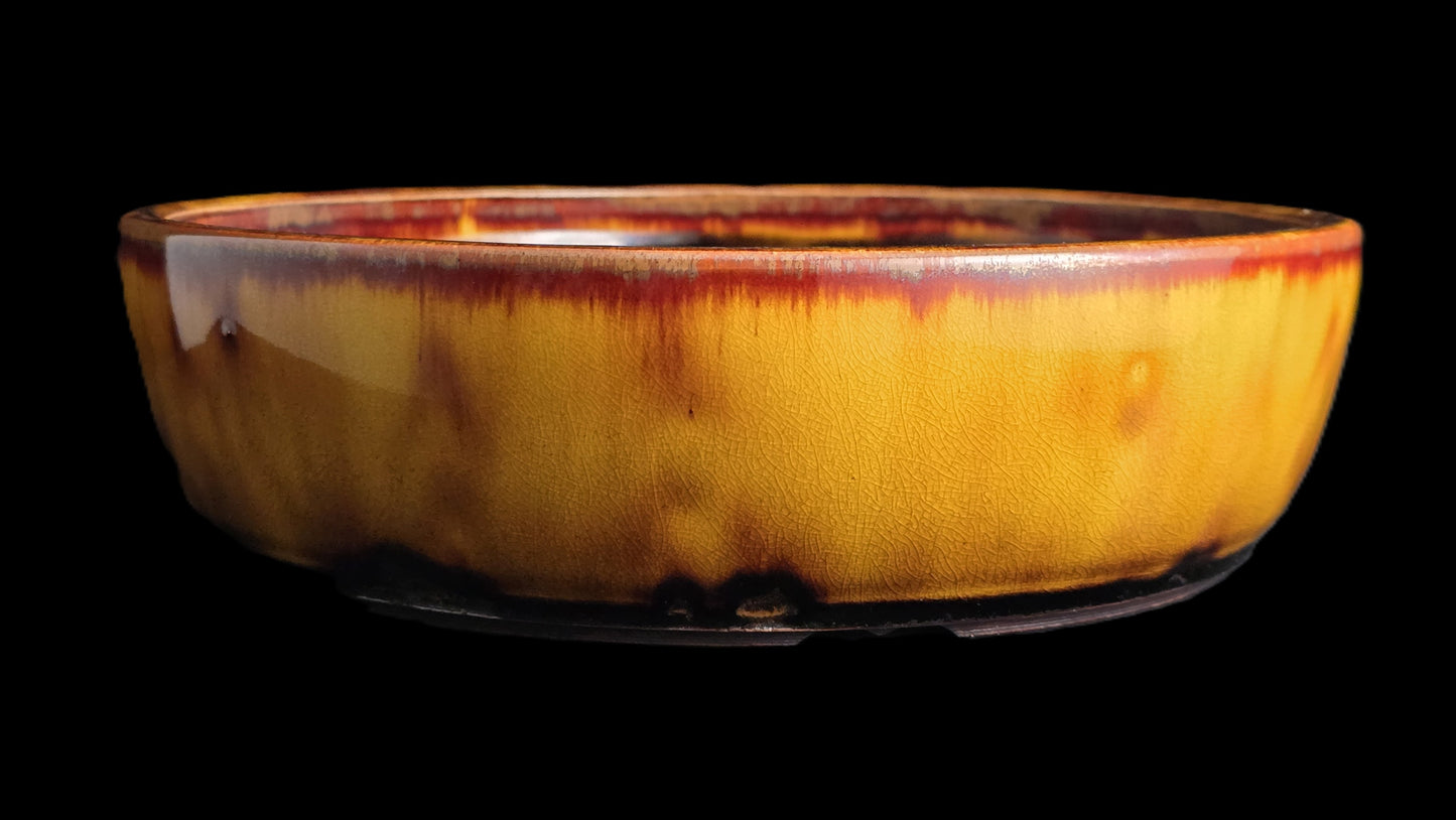 Bonsai Pot, Crystalline Round 4-26 - 10 X 2.75"