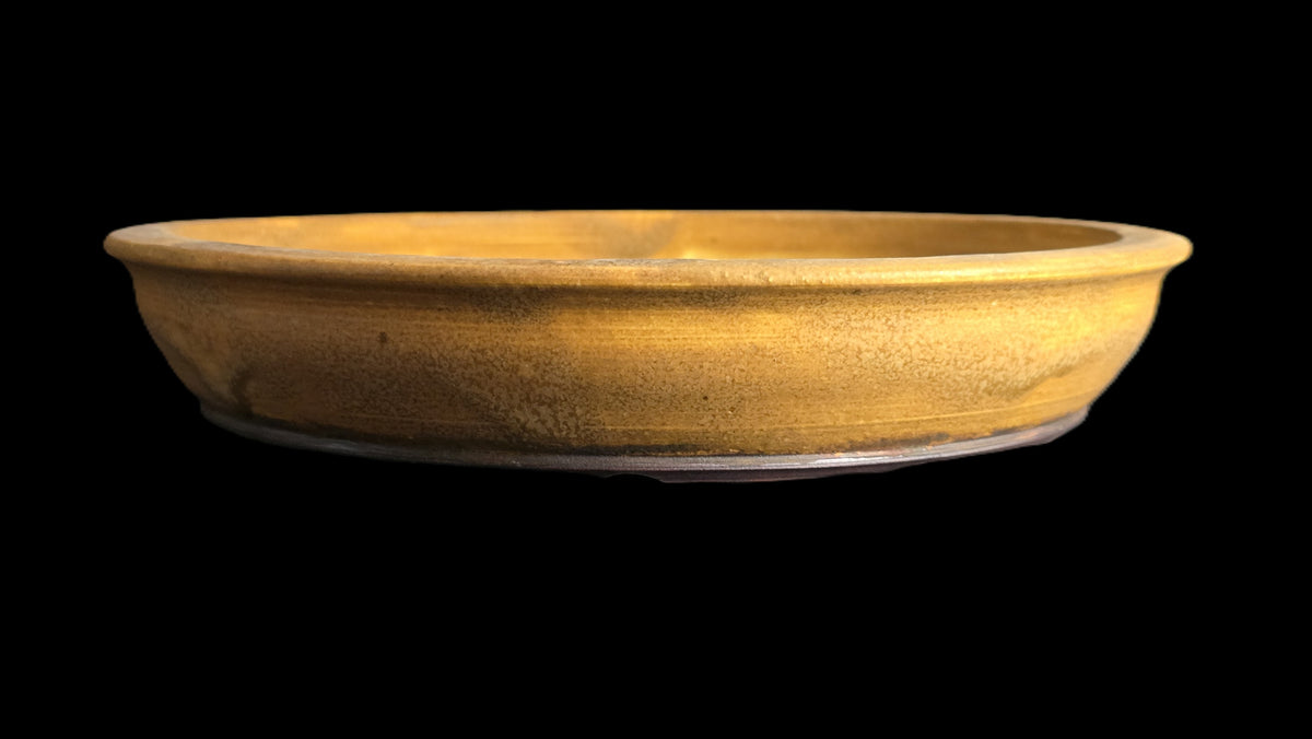 Rustic mustard bonsai pot 10-26 side view 1