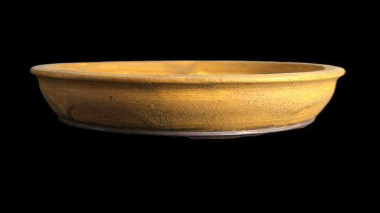 Rustic mustard bonsai pot 10-26 side view 1