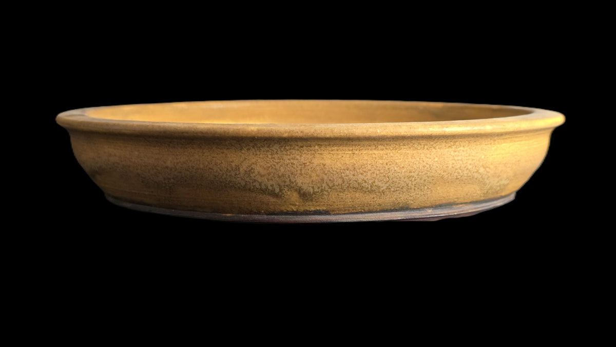 Rustic mustard bonsai pot 10-26 side view 2