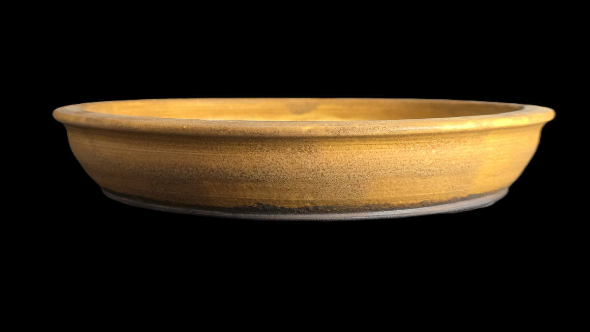 Rustic mustard bonsai pot 10-26 side view 3