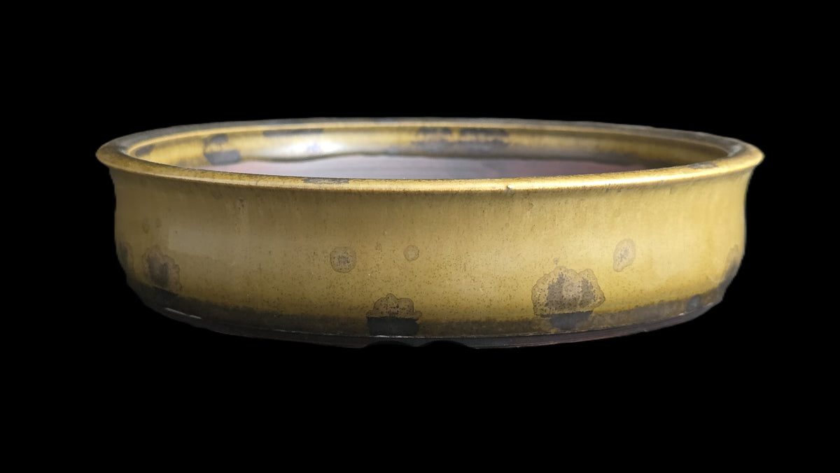 Mustard yellow crystalline bonsai pot 10-26 side view 1