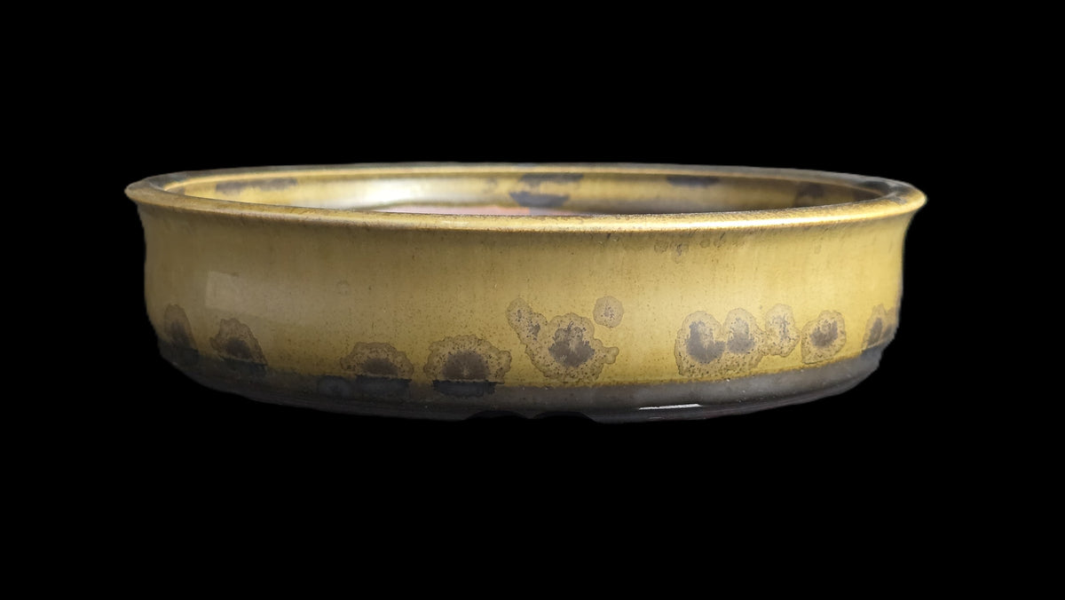 Mustard yellow crystalline bonsai pot 10-26 side view 2