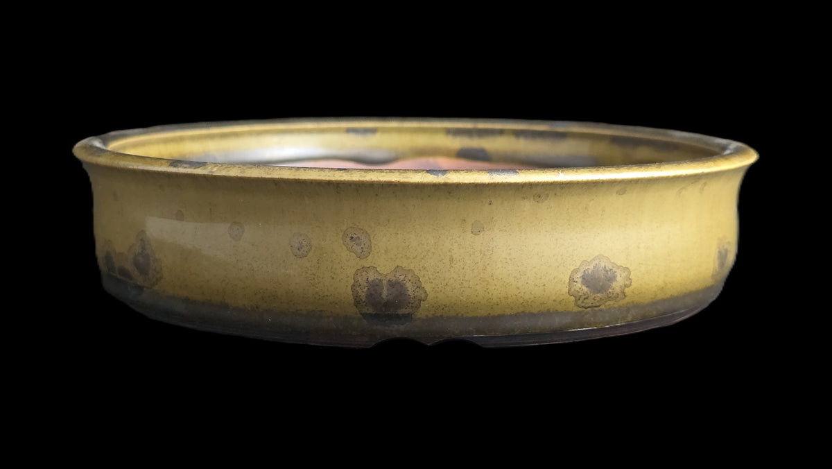 Mustard yellow crystalline bonsai pot 10-26 side view 3
