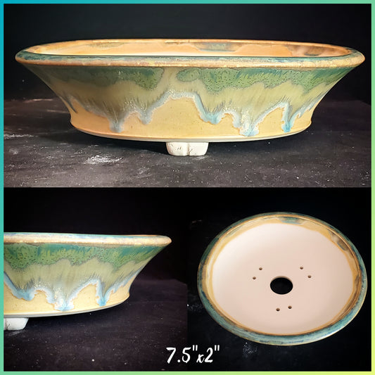 Bonsai Pot Round 8-23-1227 [7.5"x2"]