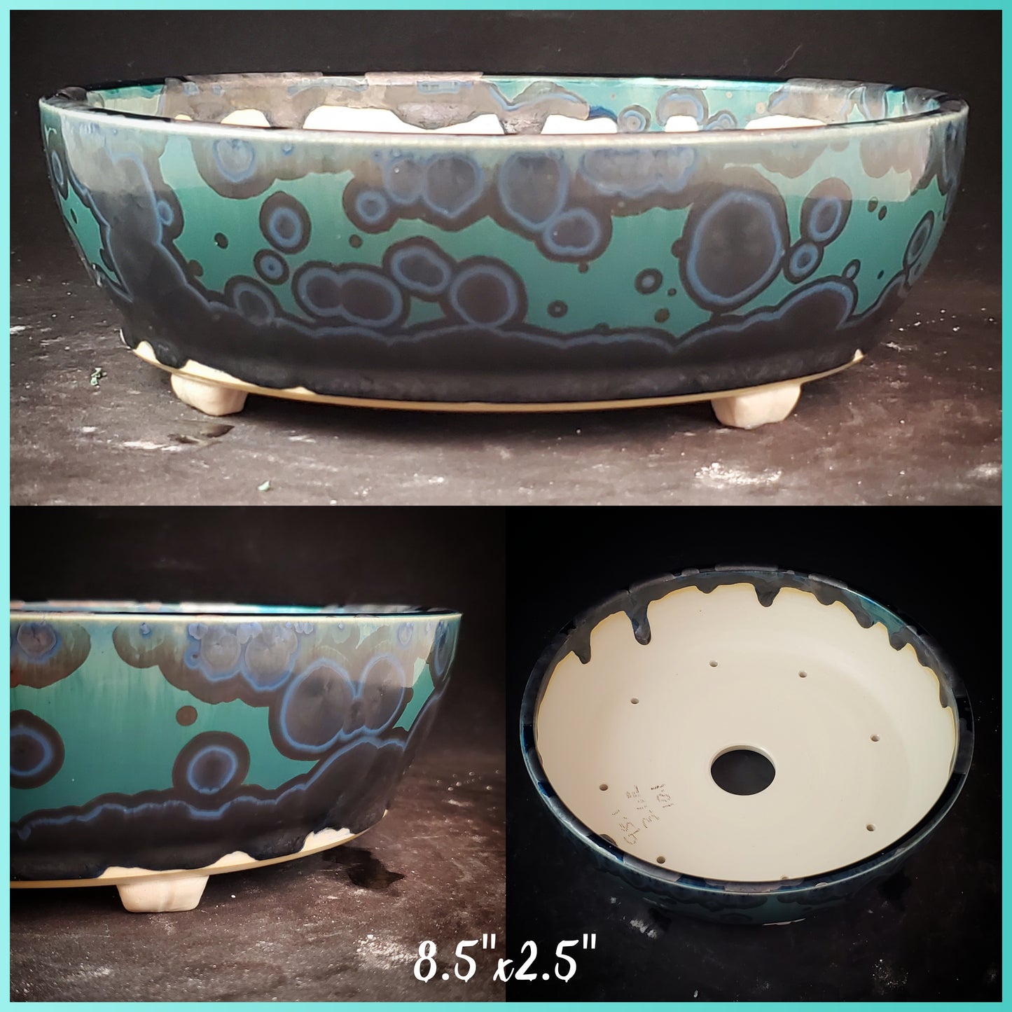 Bonsai Pot Round 8-23-1229 [8.5"x2.5"]